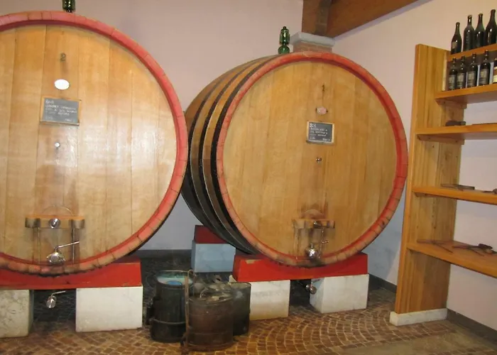 Luisa Francesca Montebelluna